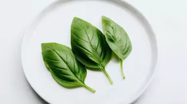 garnishing-instructions-image